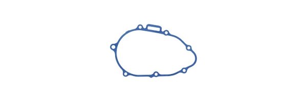 Lichtmaschinendeckeldichtung