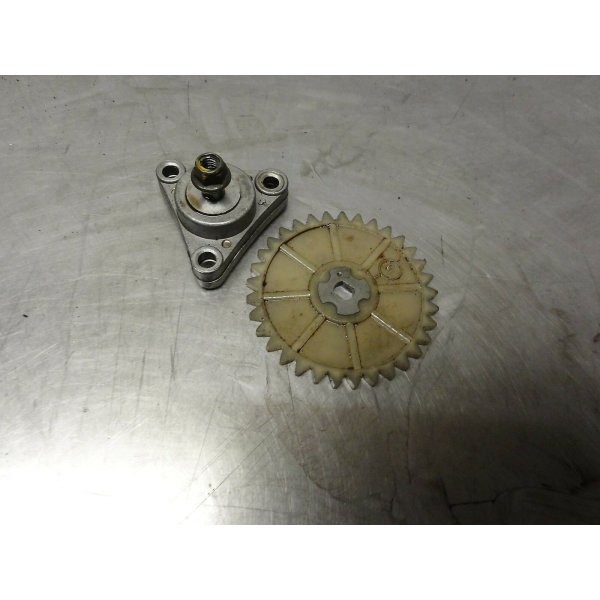Flex Tech Hurrican X2 oil pump + gear wheel