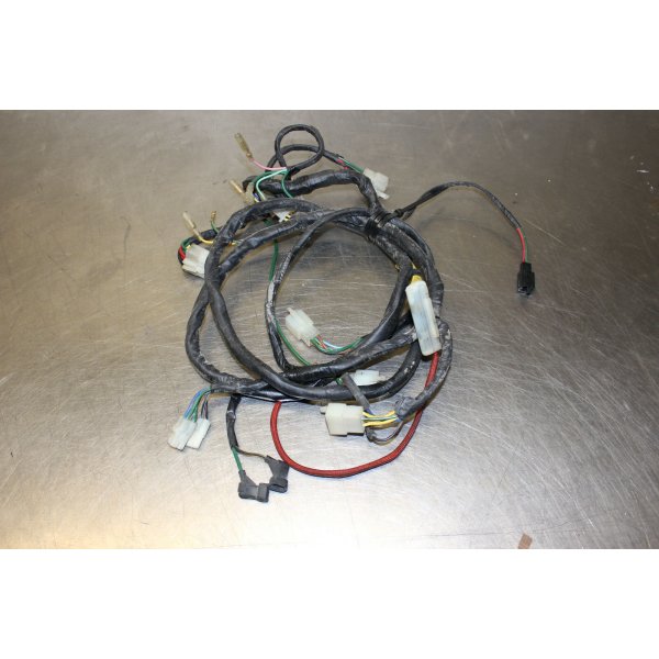 Daelim Otello SG 125 F wiring harness A5/2-4