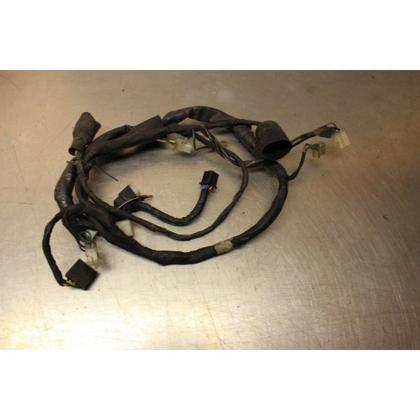 Daelim VS 125 F Rok wiring harness C5/2