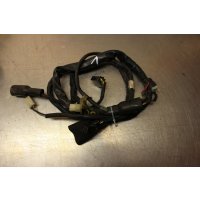 Daelim VS 125 F Rok wiring harness 1 C5/2
