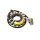 Alternator stator Tourmax Kawasaki ZX-10R 1000 Ninja ZX-10RR ZX-6R 636 11-22