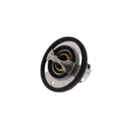 Thermostat Tourmax Yamaha FZ6 600 XJ6 600 XJ 600...