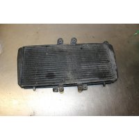 Triumph Daytona 955i T595 water cooler radiator F3/5