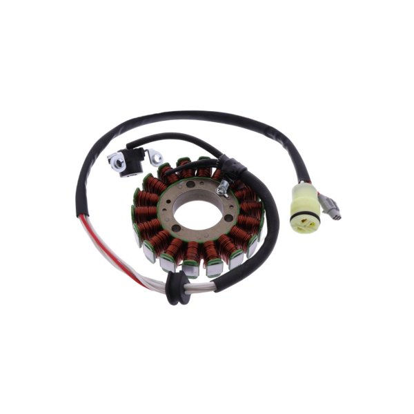 Alternator stator JMP Yamaha YFM 250 R YFM25R YFM 250 R SE Special Edition