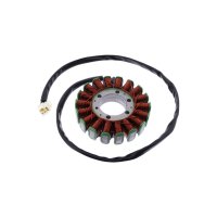 Lichtmaschine Stator JMP Triumph Daytona 955 i