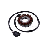 Lichtmaschine Stator JMP Yamaha YZF-R1 1000 09-13