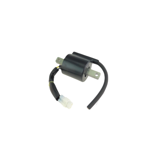 Ignition coil OE Yamaha YZ 250 2T 05-22