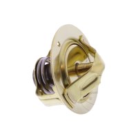 Thermostat OE Yamaha FZ 750 FZR 1000 FZS 600 Fazer FZX...