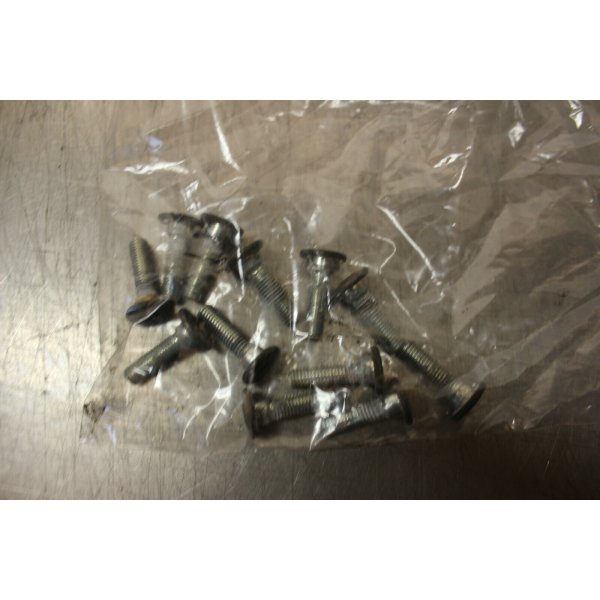 Kawasaki GPZ 900 R (ZX900A) brake disc bolts front A1/6-K2