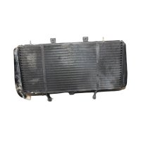 Radiator water cooler Triumph Sprint ST 955 T695