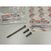 Oil filter cover screws OE Yamaha YZF-R 125 | MT 125 | WR...