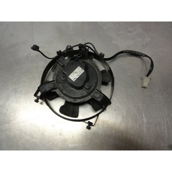 Honda XL 600 V Transalp fan crate1