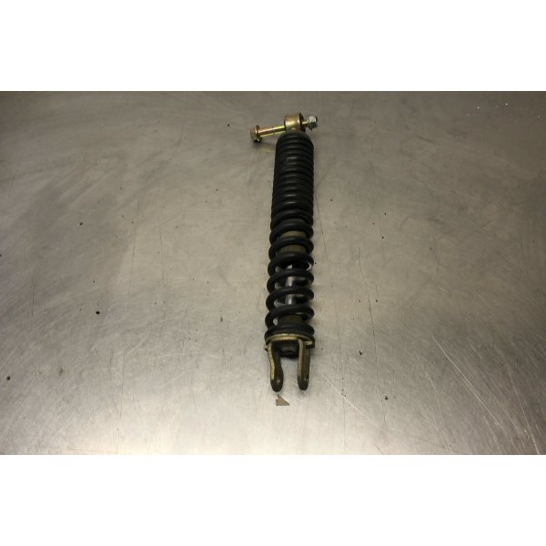 Rex RS 450 shock absorber rear strut crate2