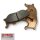 Bremsbeläge vorne OE Yamaha FZ6 MT-03 SR 125 TDR 125 TT 600  XJ6 XJR XVS YP XJ
