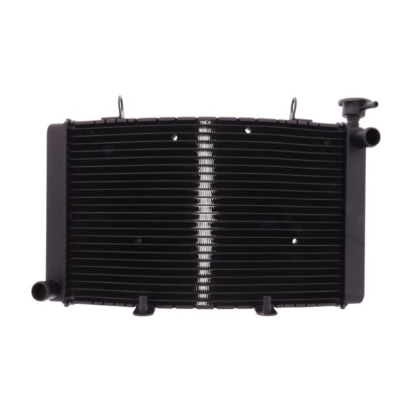 Wasserkühler JMP Benelli Tre-K 899 , Tre-K 1130