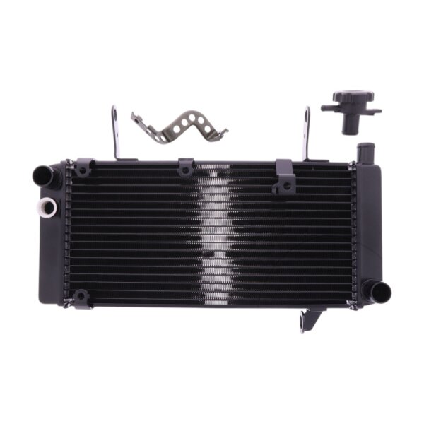 Wasserkühler JMP für Suzuki SV 1000