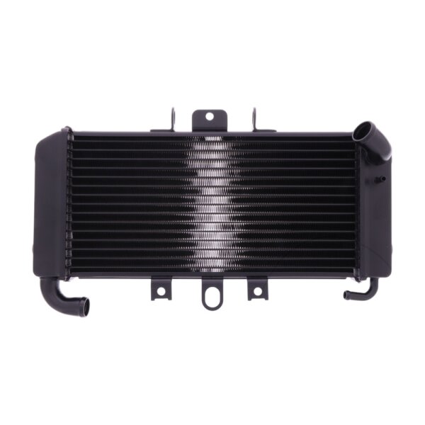 Wasserkühler JMP für Yamaha FZS 600 Fazer