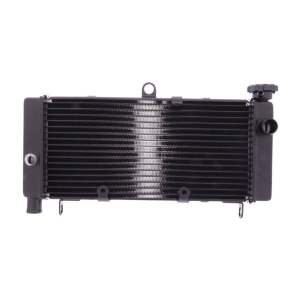 Wasserkühler JMP für Honda CB 600 F Hornet , CB 600 S F2 Hornet S