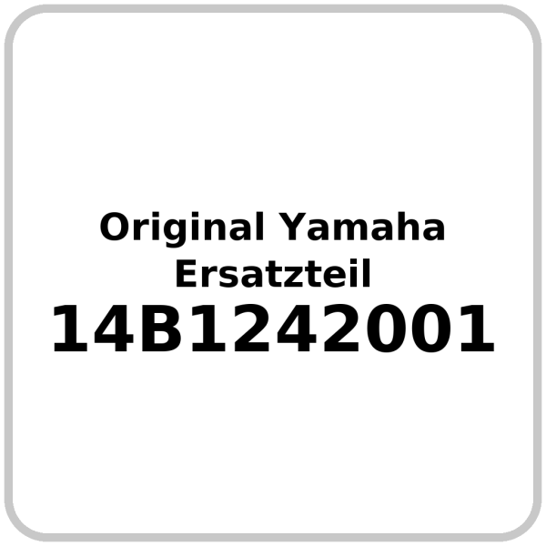 Wasserpumpe OE Yamaha  YZF-R1 2009-2014