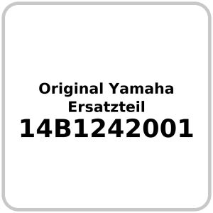 Wasserpumpe OE Yamaha  YZF-R1 2009-2014