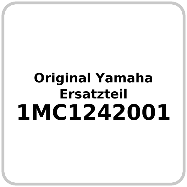 Wasserpumpe OE Yamaha FJR 1300 2013-2020