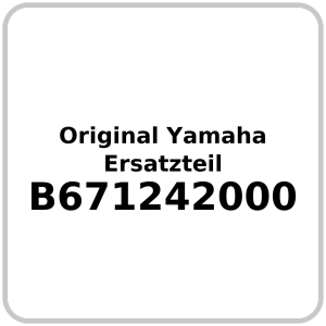 Wasserpumpe OE Yamaha YZF-R1 , MT-10