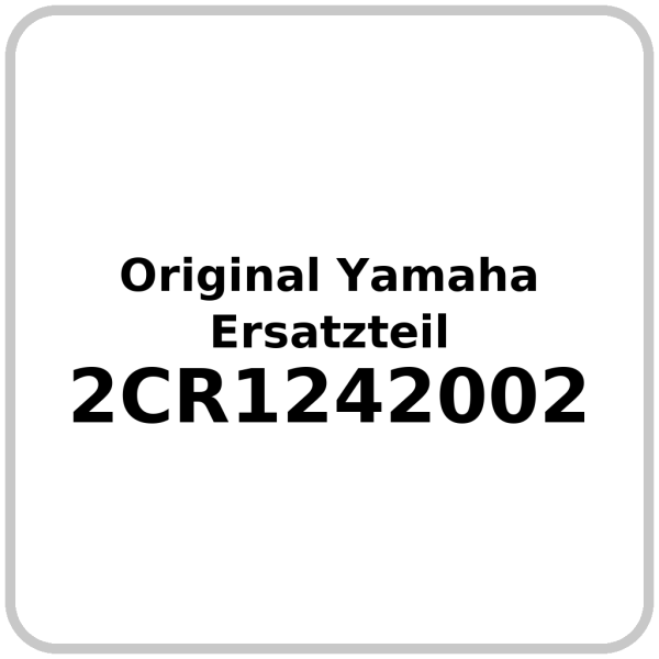 Wasserpumpe OE Yamaha  YZF-R1 2015-2016