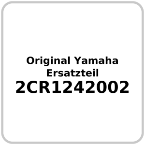 Wasserpumpe OE Yamaha  YZF-R1 2015-2016