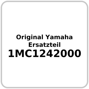 Wasserpumpe OE Yamaha FJR 1300 2013