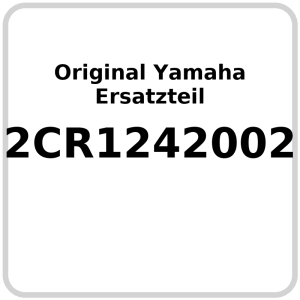 Wasserpumpe OE Yamaha YZF-R1 2015-2016