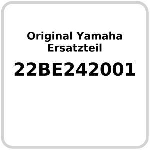 Wasserpumpe OE Yamaha WR 125 R / X 2010-2014