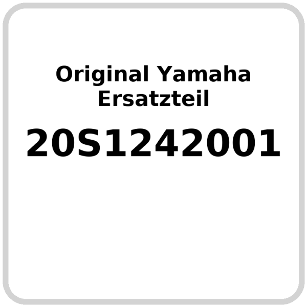 Wasserpumpe OE Yamaha XJ6 Diversion , XJ6 N Diversion Naked