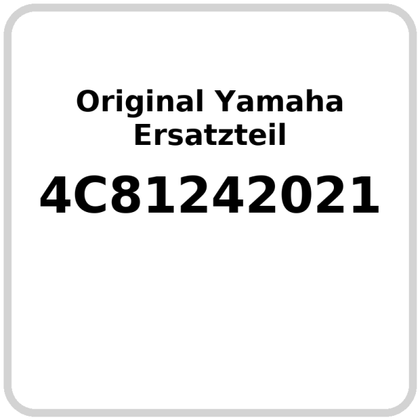 Wasserpumpe OE Yamaha FZ1-N Fazer , FZ1-S Fazer , FZ8-N , FZ8-S  , YZF-R1