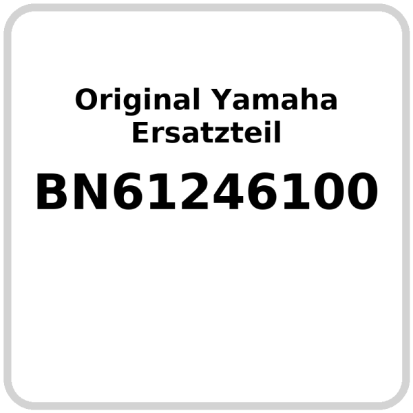 Wasserkühler OE Yamaha YZF-R6