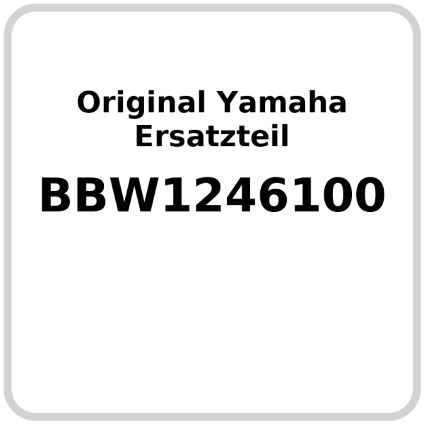 Wasserkühler OE Yamaha XP 560 T-Max Tech Max 560 2022-2025