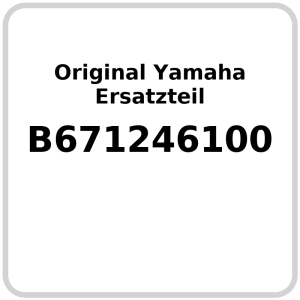 Wasserkühler OE Yamaha MT-10 2017-2021