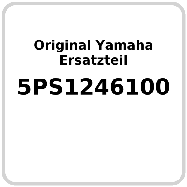 Wasserkühler OE Yamaha TDM 900 2002-2010