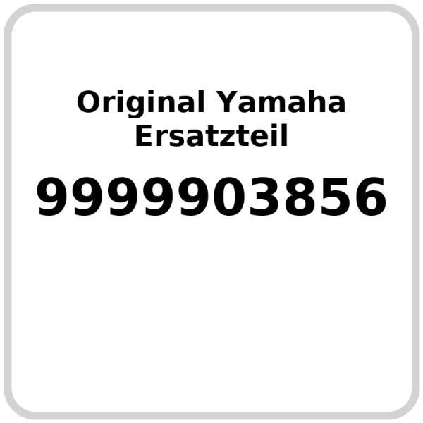 Wasserkühler OE Yamaha WR 250 2008