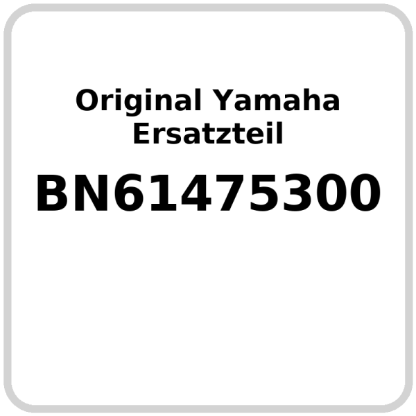 Schalldämpfer OE Yamaha YZF-R6 2017-2025