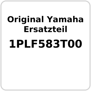 Hauptbremszylinder vorne OE Yamaha  Nitro 50 NS 50 ,...