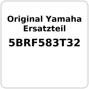 Hauptbremszylinder vorne OE Yamaha Naked 50 YQ 50 Nitro