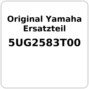 Hauptbremszylinder vorne OE Yamaha YXR 450 Rhino , YXR...