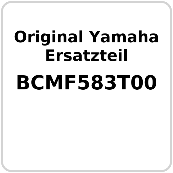 Hauptbremszylinder vorne OE Yamaha N-Max 125 GPD 125 2025