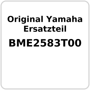 Hauptbremszylinder vorne OE Yamaha  MT-09 2024-2025