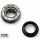 Dichtung Wasserpumpe OE Yamaha   X-City 250 / Evolis 250 / X-Max 250 / Skycruiser 250