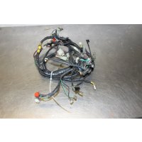 Daelim Otello SG 125 F wiring harness A5/3-5