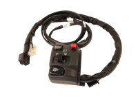 Schalter Lenkerschalter Links OE Yamaha XT 1200 Z Super...