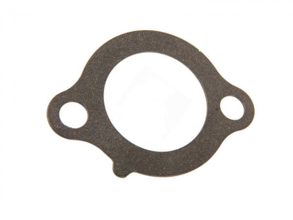 Dichtung Steuerkettenspanner OE Yamaha  FJR1300 TDM900