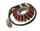 Stator Lichtmaschine OE Yamaha YZF-R1 RN09 2002-2003